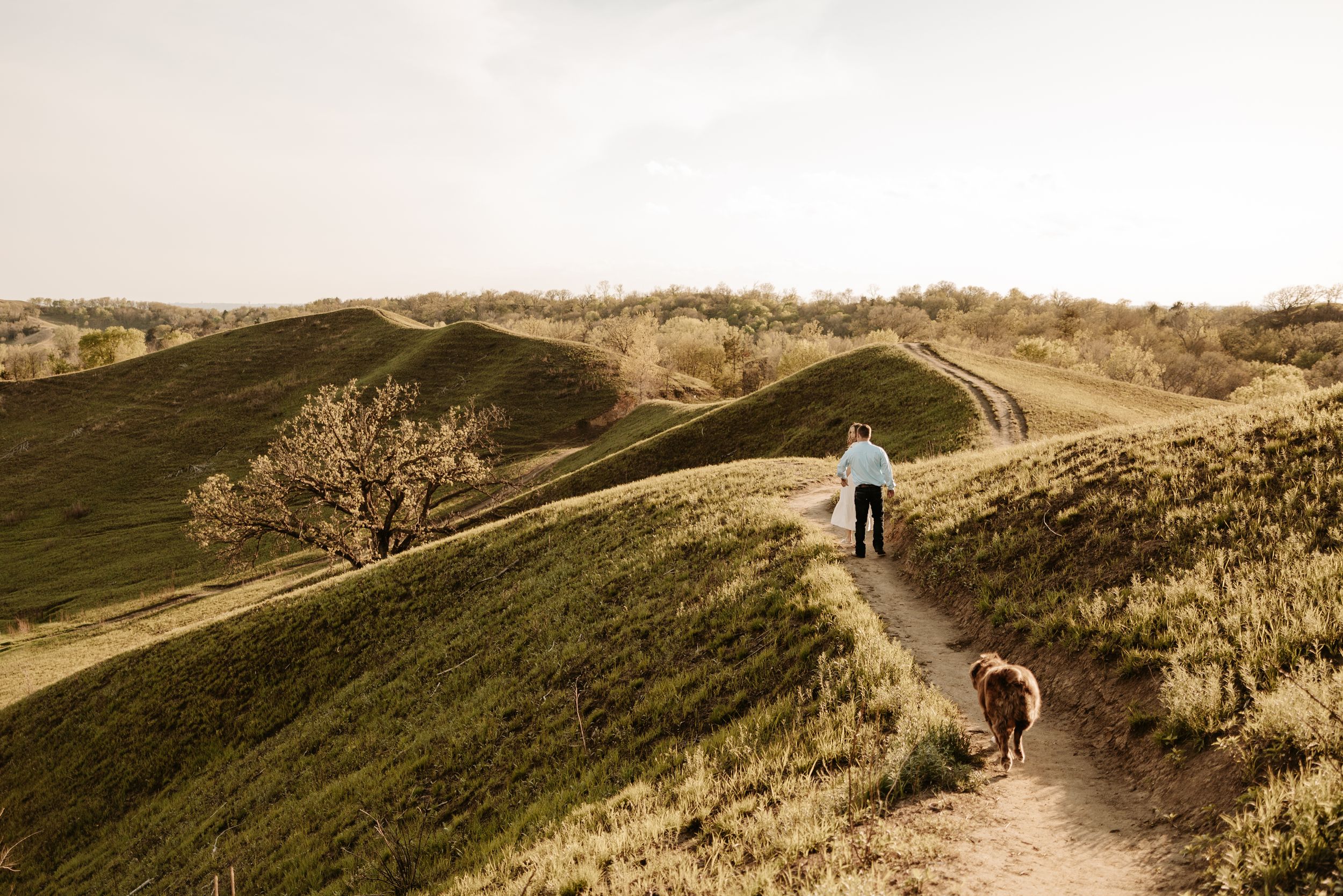 Person walking a brown dog along a winding trail through rolling green hills.