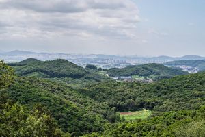 Aerial view of lush green forested hills with a city skyline visible in the distant horizon under cloudy skies.