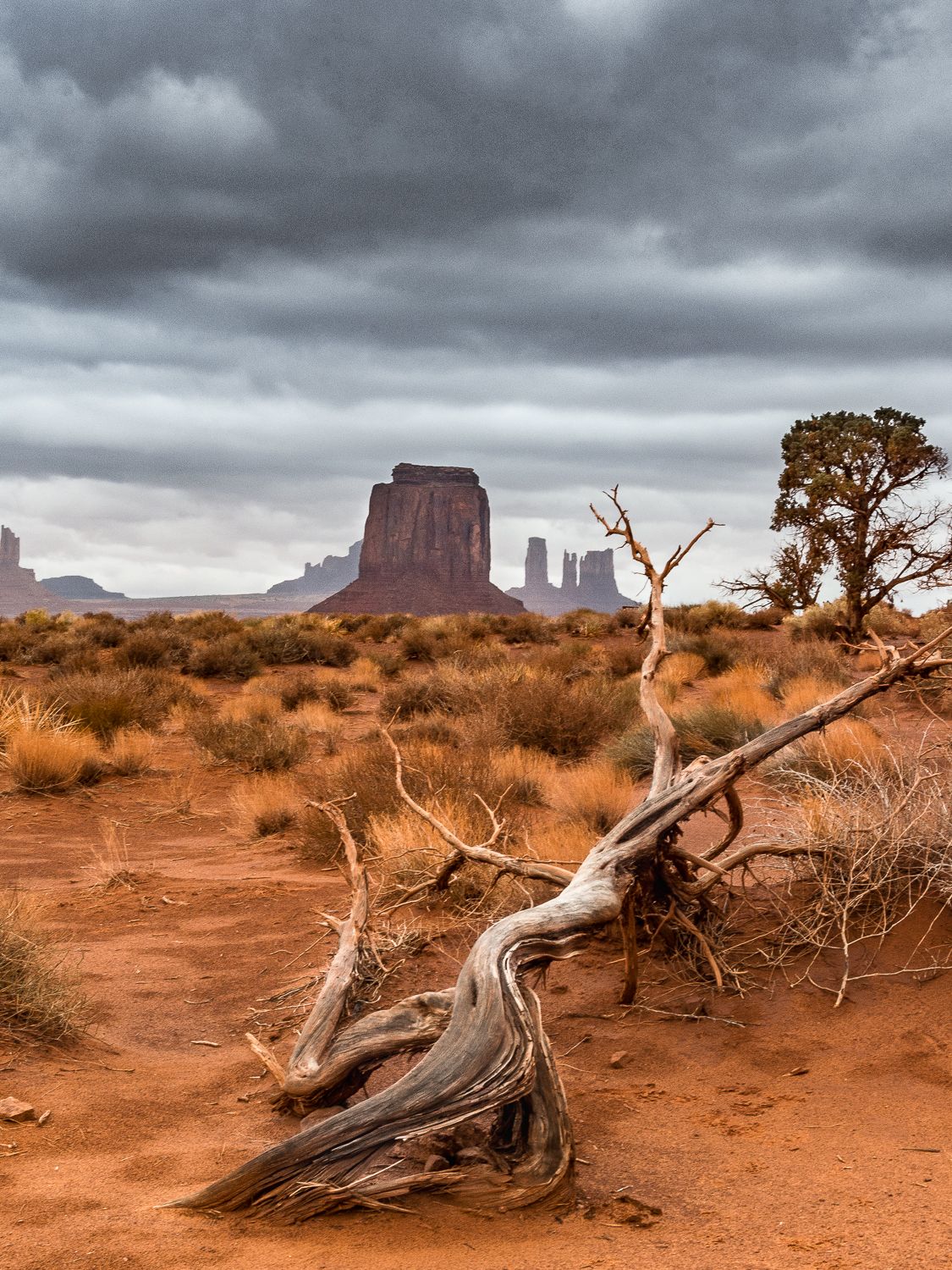 A gnarled dead tree lies on red desert sand before a dramatic Monument Valley butte under stormy skies.