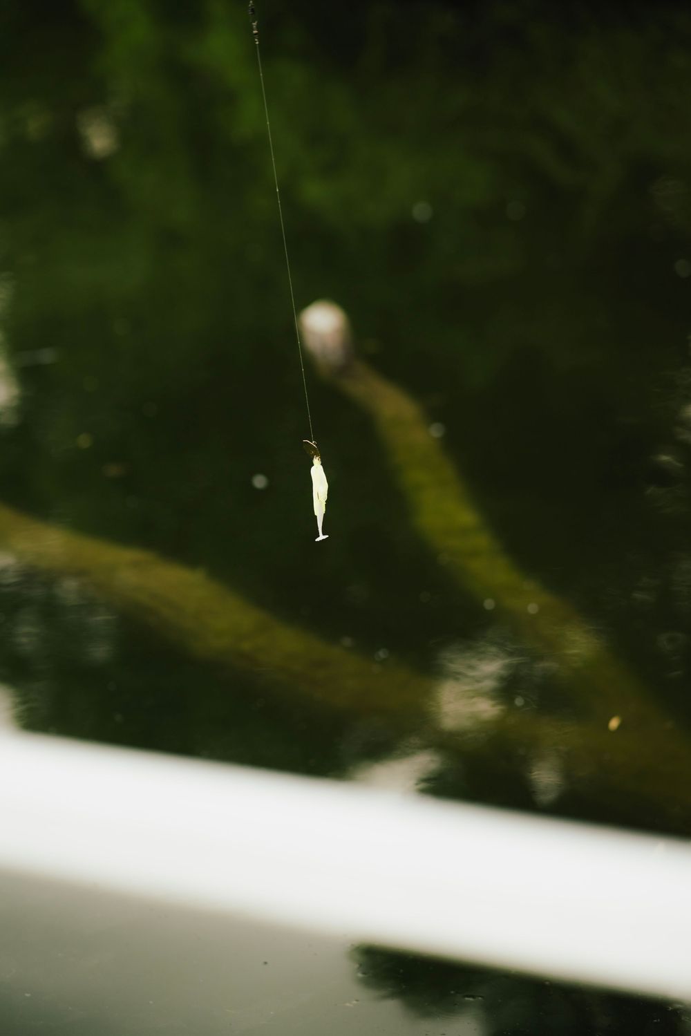 A small fish caught on a fishing line suspended over a green reflective pond.