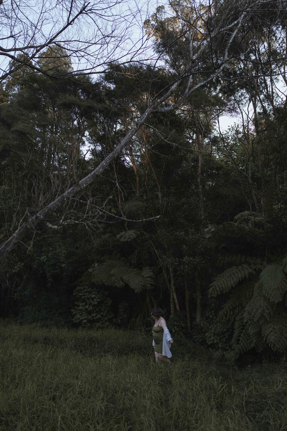 Person in white dress standing in lush green forest clearing at dusk, surrounded by tall trees and ferns.