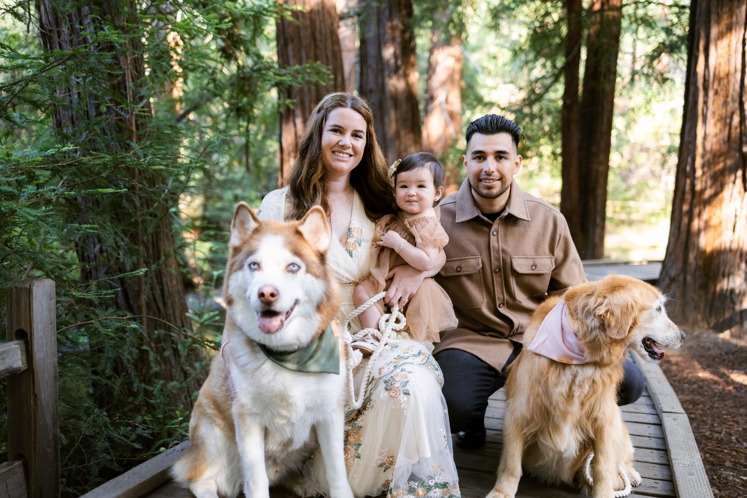 Bay Area family photographer