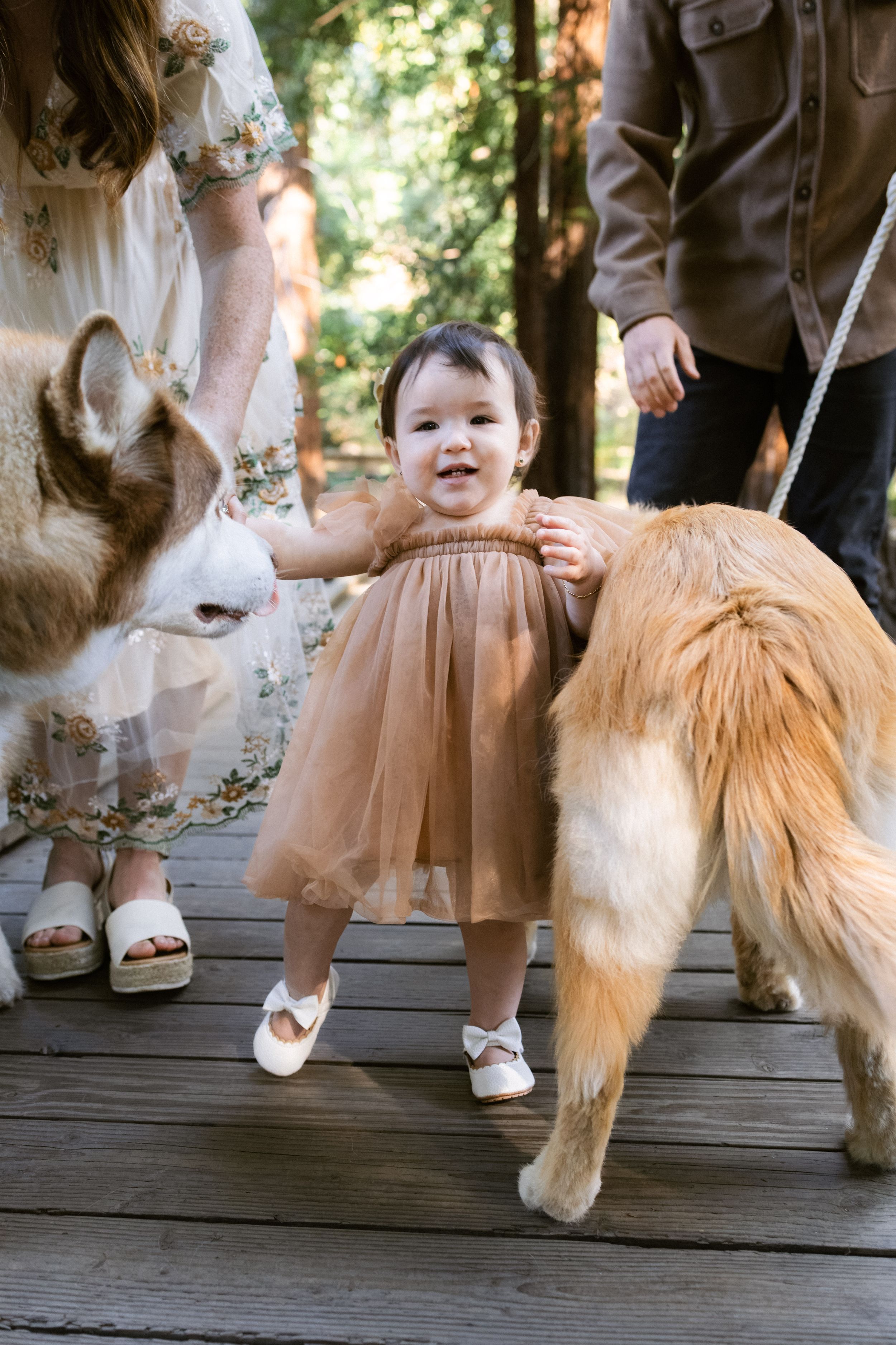 Bay Area family photographer