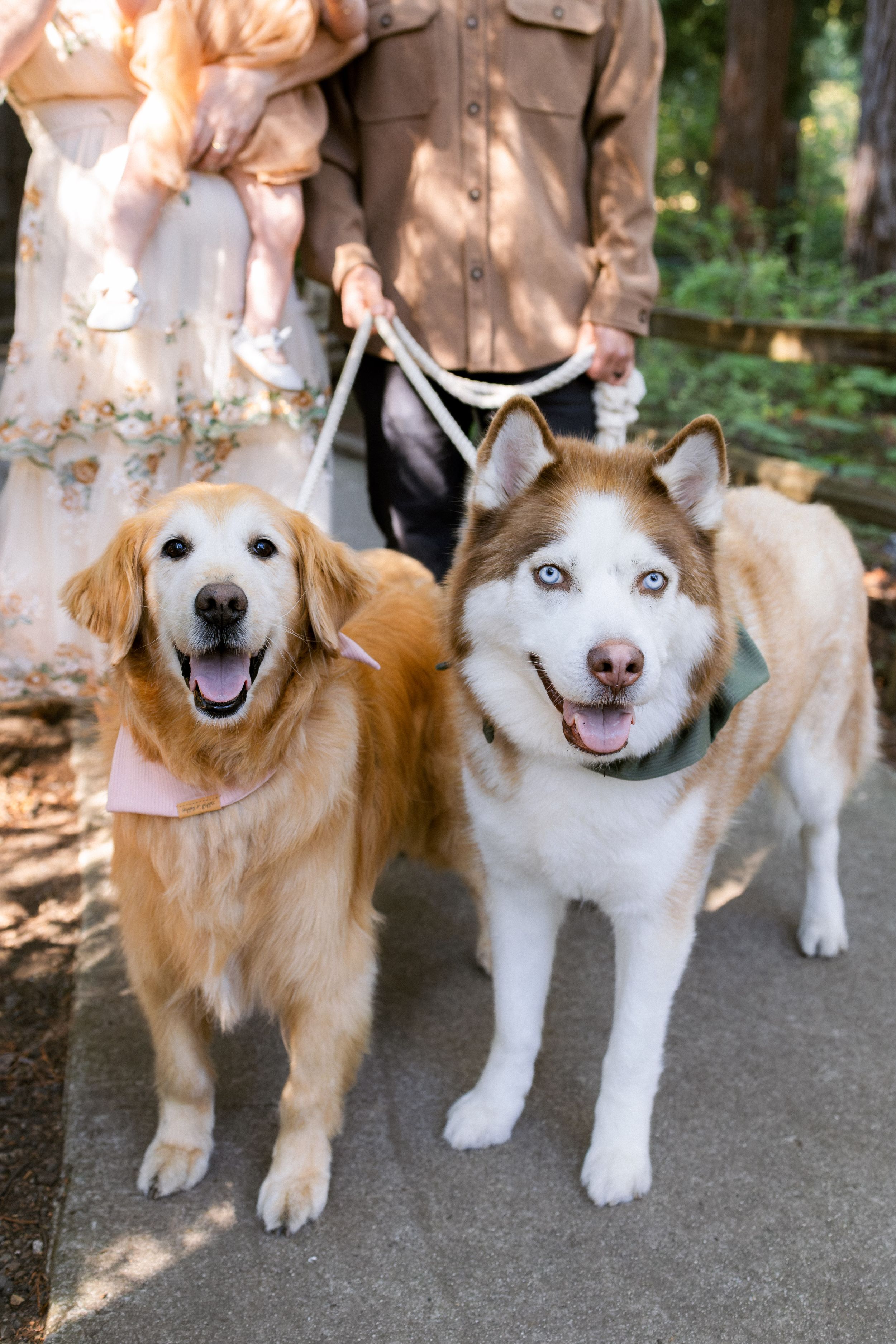 Bay Area family photographer