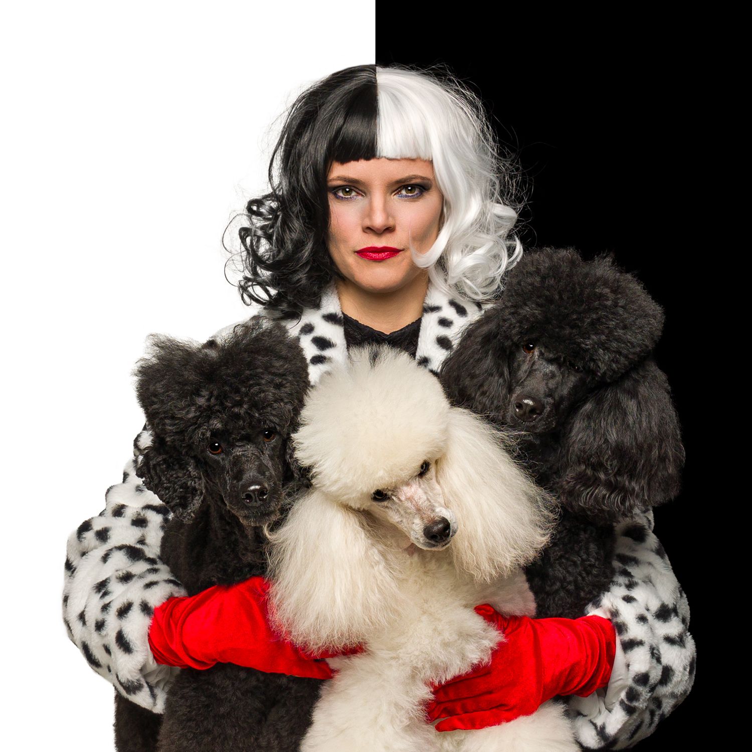 Woman dressed as Cruella de Vil in black and white wig and red gloves, holding three poodles against white background.