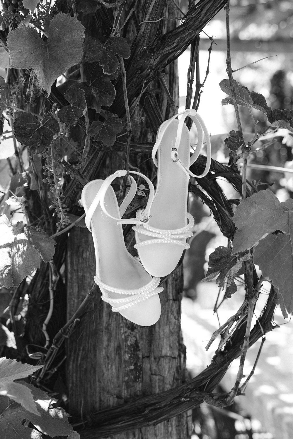 Black and white bridal sandals with pearl-trimmed ankle straps hanging from a rustic grapevine trunk.