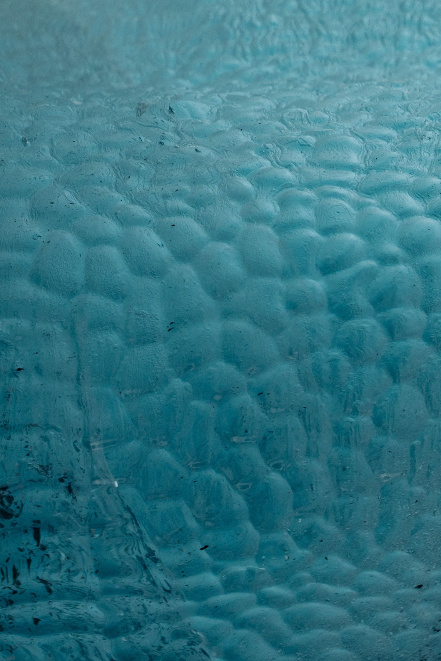 Surface bosselée et turquoise d'un iceberg criblée d'alvéoles et d'inclusions sombres