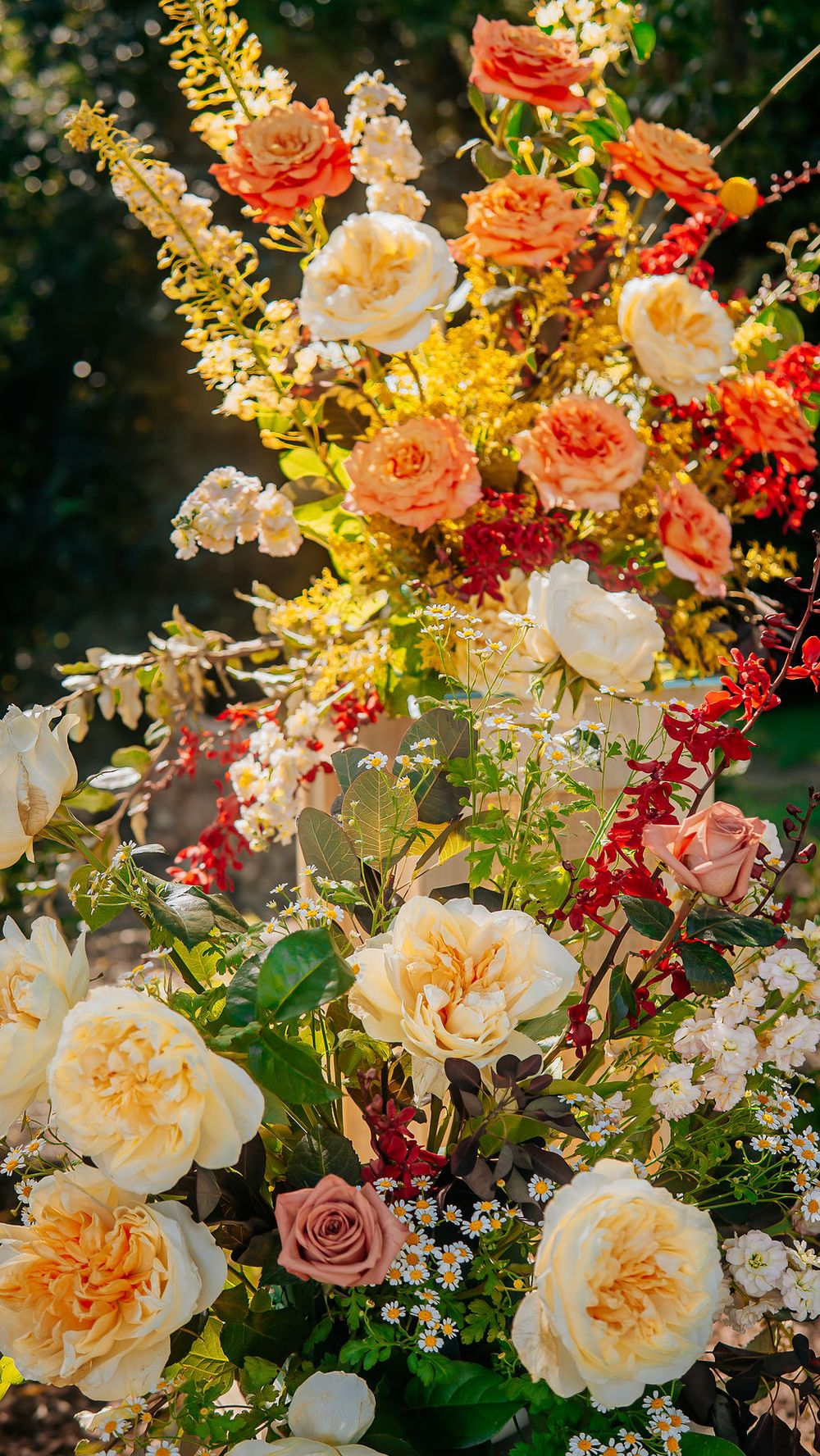 Lush floral arrangement featuring cream, peach, and red roses with wildflowers in warm sunlight outdoors.