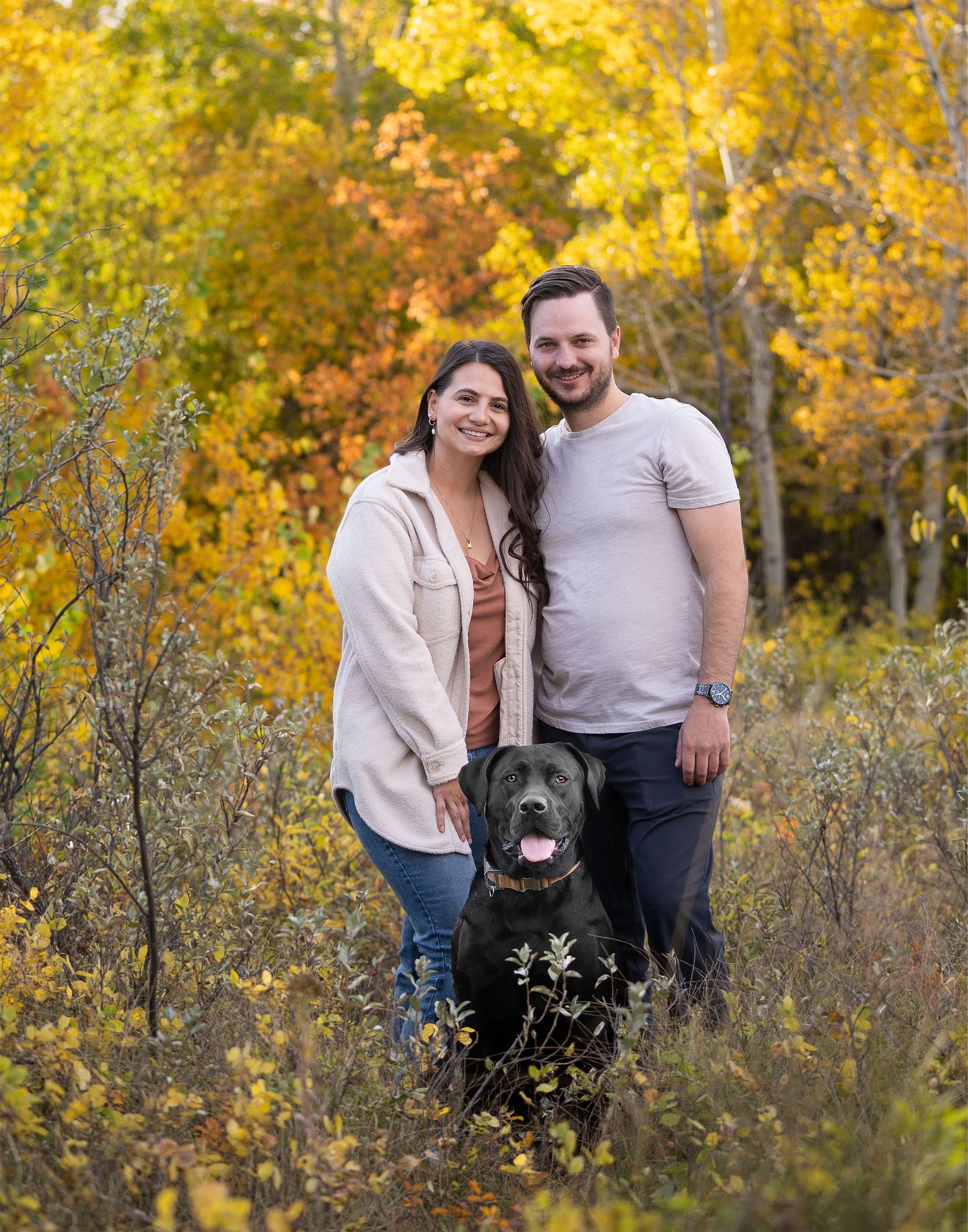 Couple and black Labrador posing outdoors among vibrant yellow autumn aspen trees in a scenic fall forest setting.
