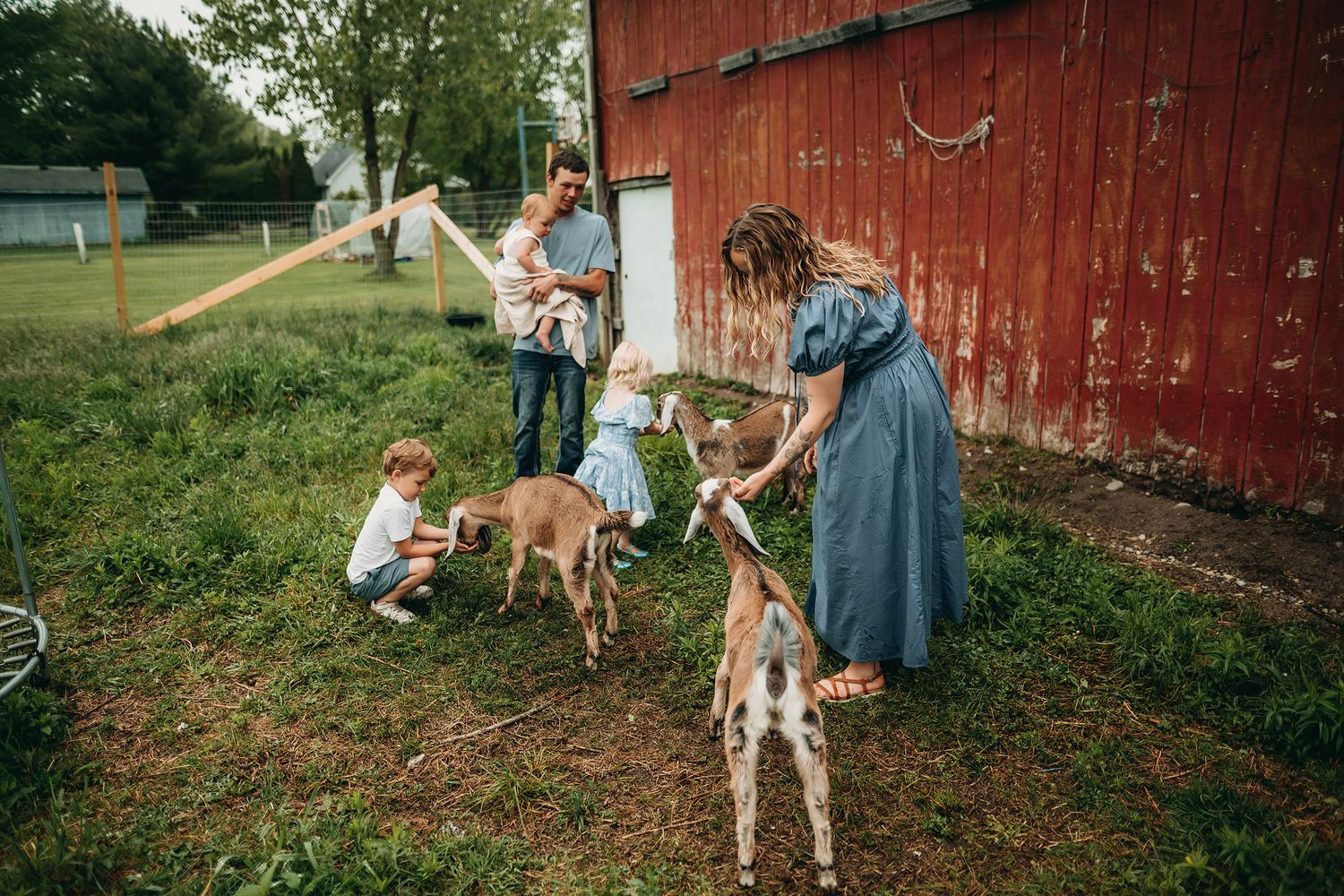 Family with children feeding baby goats near a rustic red barn on a green farm.