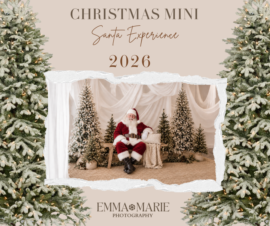 Santa sits among frosted Christmas trees in a studio for Emma Marie Photography's 2026 Christmas Mini Santa Experience session.