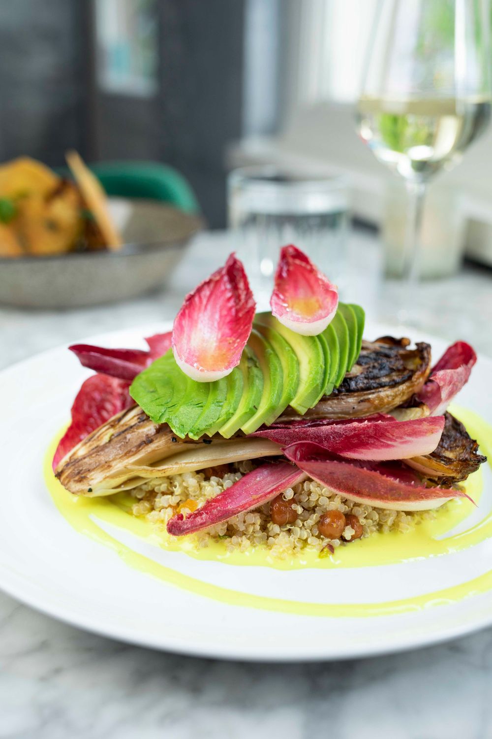 Elegant plated dish with avocado, radicchio, quinoa, and grilled vegetables drizzled with yellow sauce on white plate.