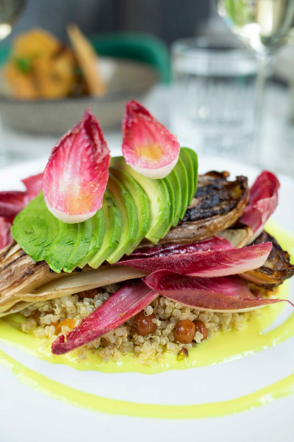 Elegant plated salad with sliced avocado, radicchio, quinoa, and chickpeas on a green sauce, served on a white plate.