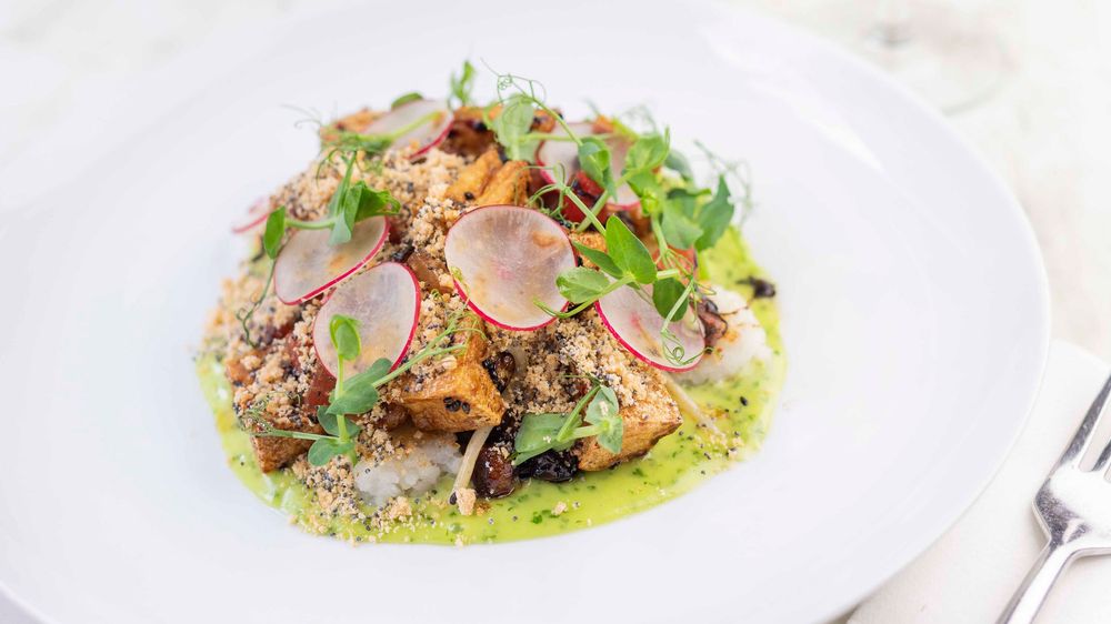 Elegant plated dish with roasted chicken, green herb sauce, quinoa, radish slices, and microgreens on white plate.