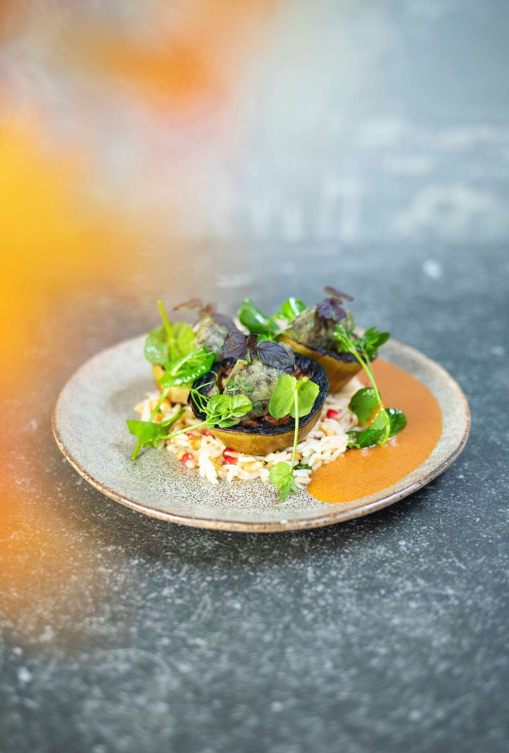Elegant fine dining plate with seared fish, fresh microgreens, herb garnish, and colorful vegetable relish on rustic ceramic.