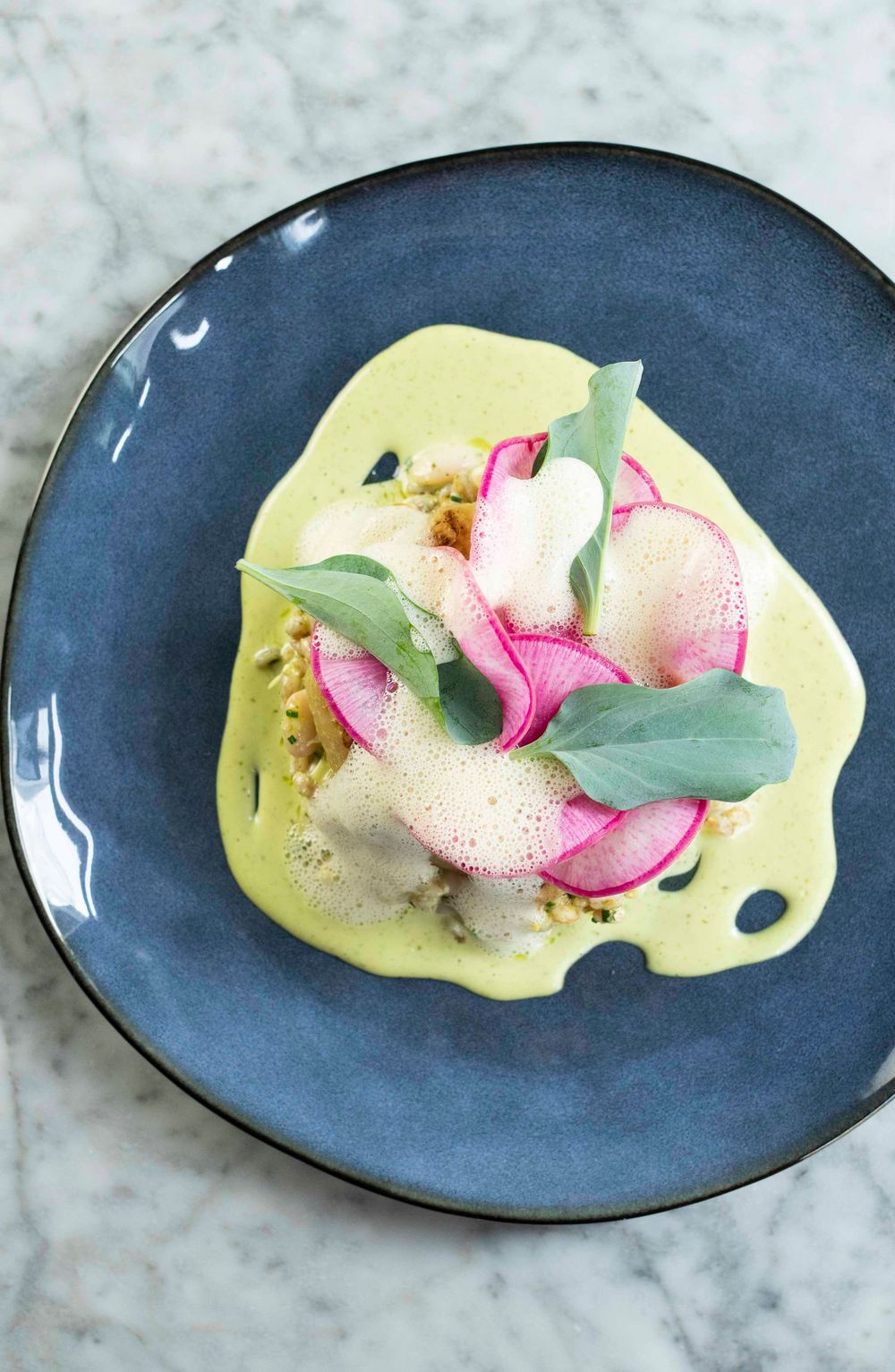 Elegant fine dining dish with sliced radishes, herb leaves, and foam on green sauce, served on a blue ceramic plate.