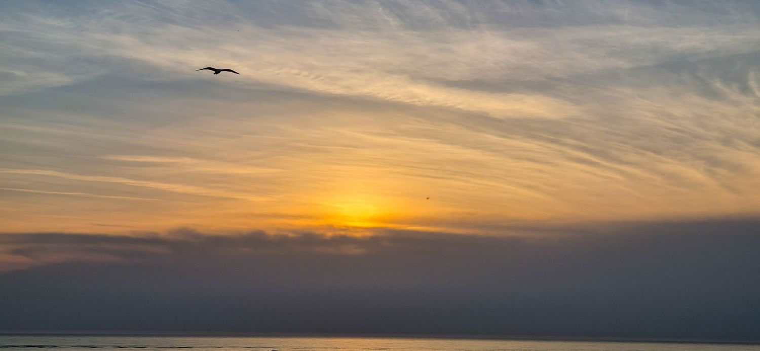 Plage de Berck-sur-Mer. séance photo en extérieur - Sandrine Photographie