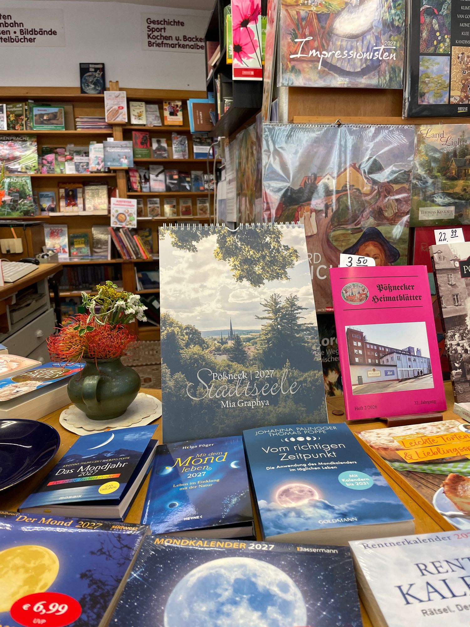 German bookstore window display featuring colorful books including Ida and 11 September titles on a sunny street.