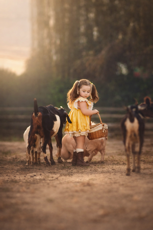 A little girl in a yellow dress feeds goats with a basket at golden hour.
