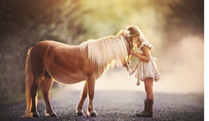 A young girl in a white dress shares a tender moment with a small pony on a path.