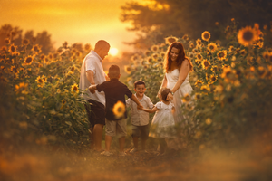 A joyful family plays together in a vibrant sunflower field bathed in golden sunset light.