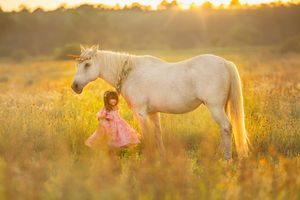 A young girl in a pink dress stands beside a white horse in a golden sunlit meadow.