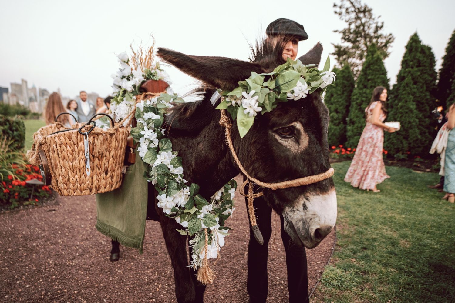 A decorated donkey adorned with white floral garland carries a wicker basket at an outdoor garden wedding celebration.
