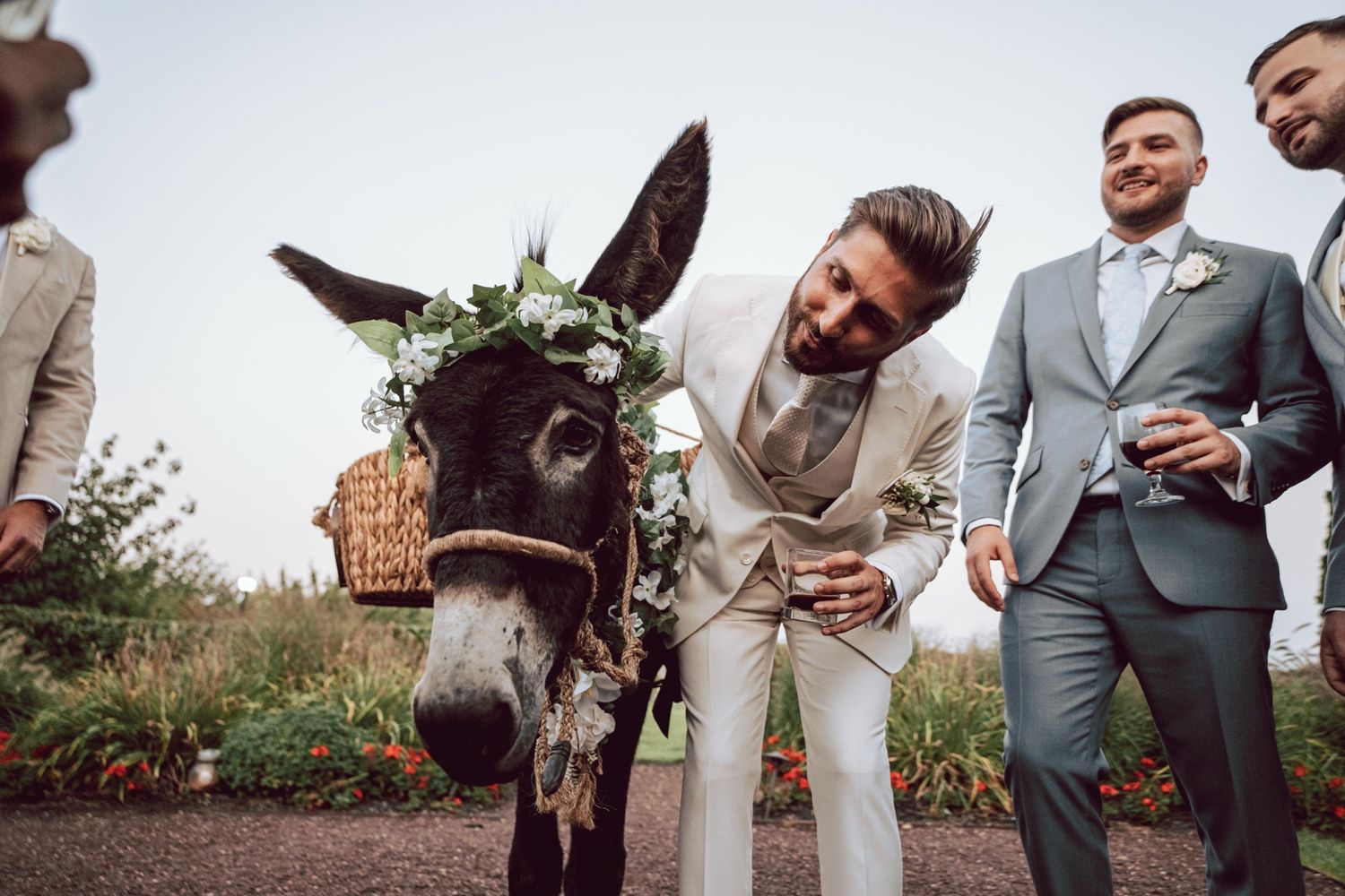 Groom laughing with a flower-crowned donkey and groomsmen in suits at an outdoor wedding celebration.