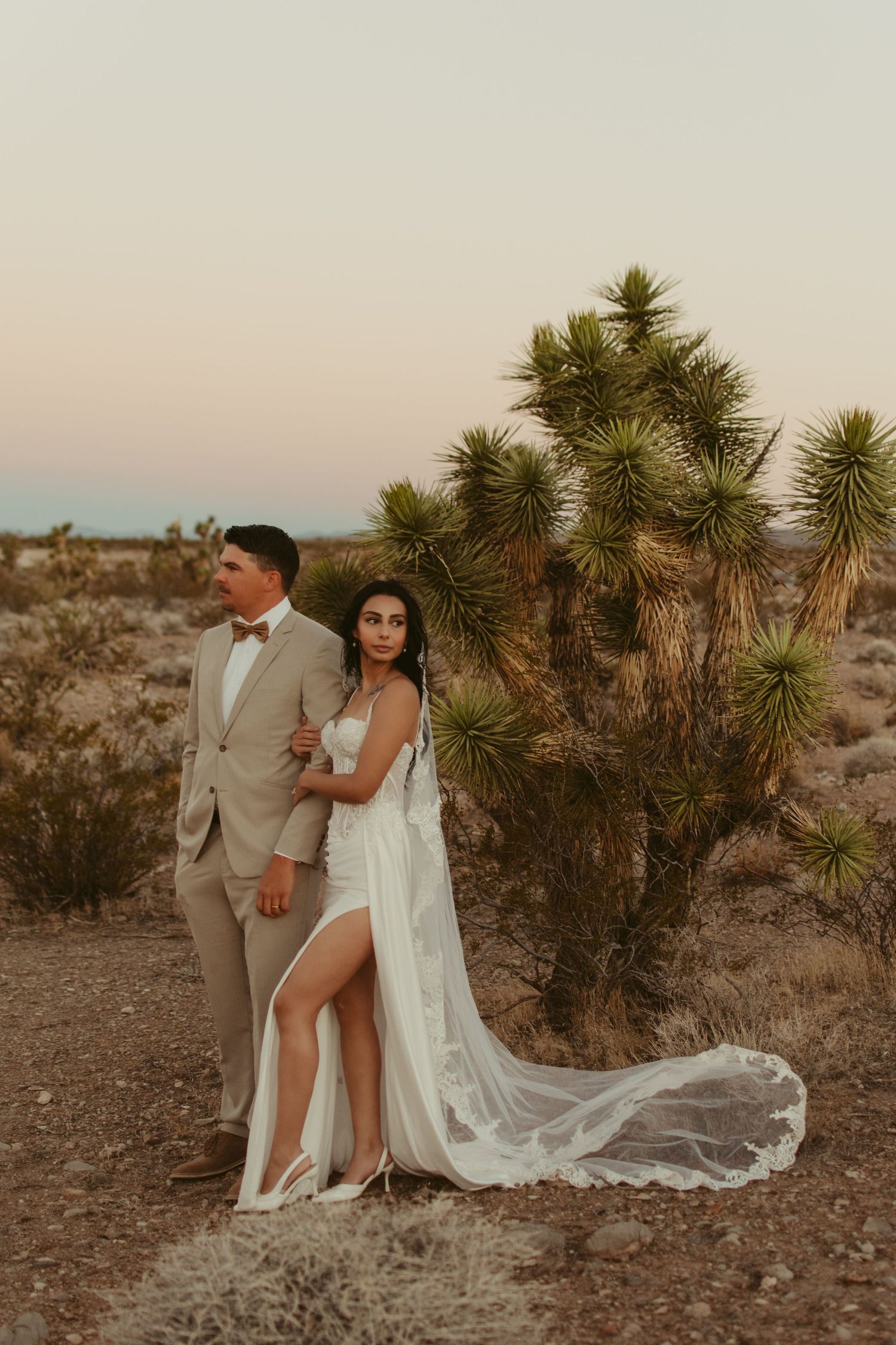 Desert wedding photo with couple posing near Joshua tree at sunset.