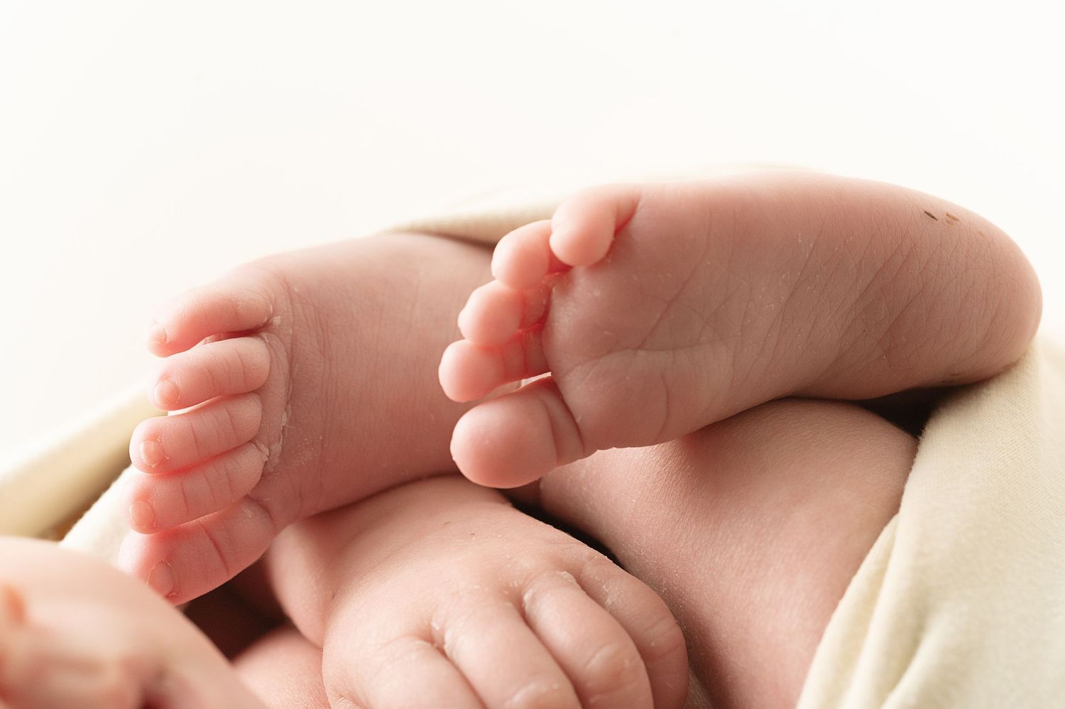 Close up of tiny newborn feet and toes on white background.