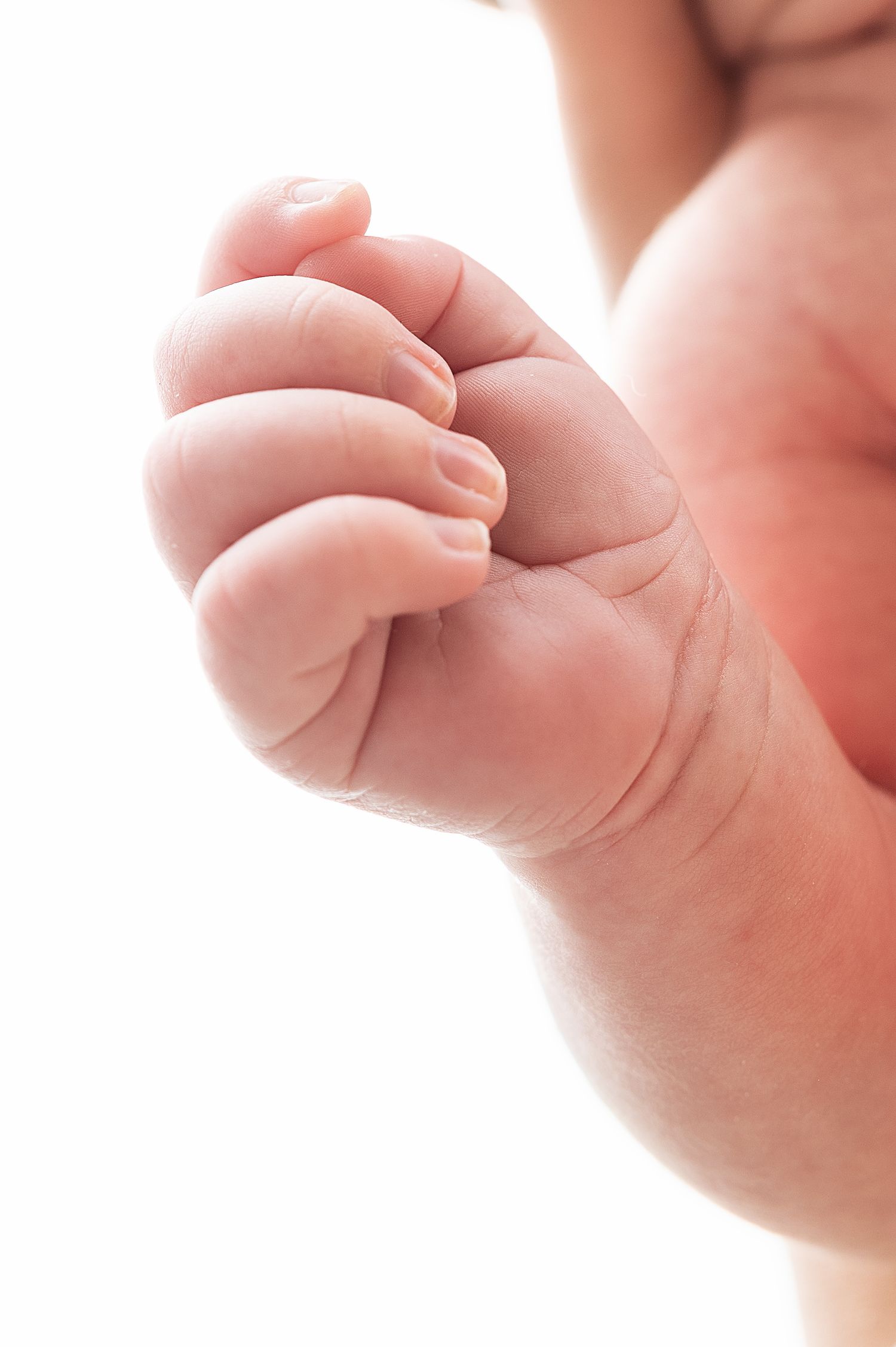 Close-up of tiny newborn baby fingers and hands against soft white background.