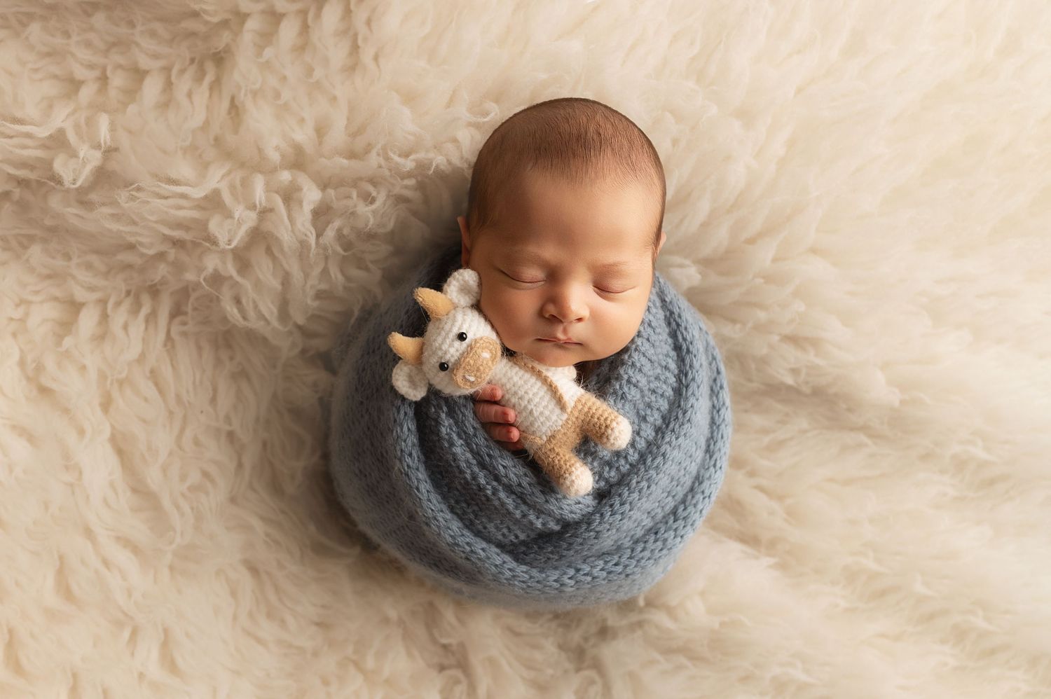 Sleeping newborn wrapped in blue blanket holding small plush giraffe on cream fur backdrop.