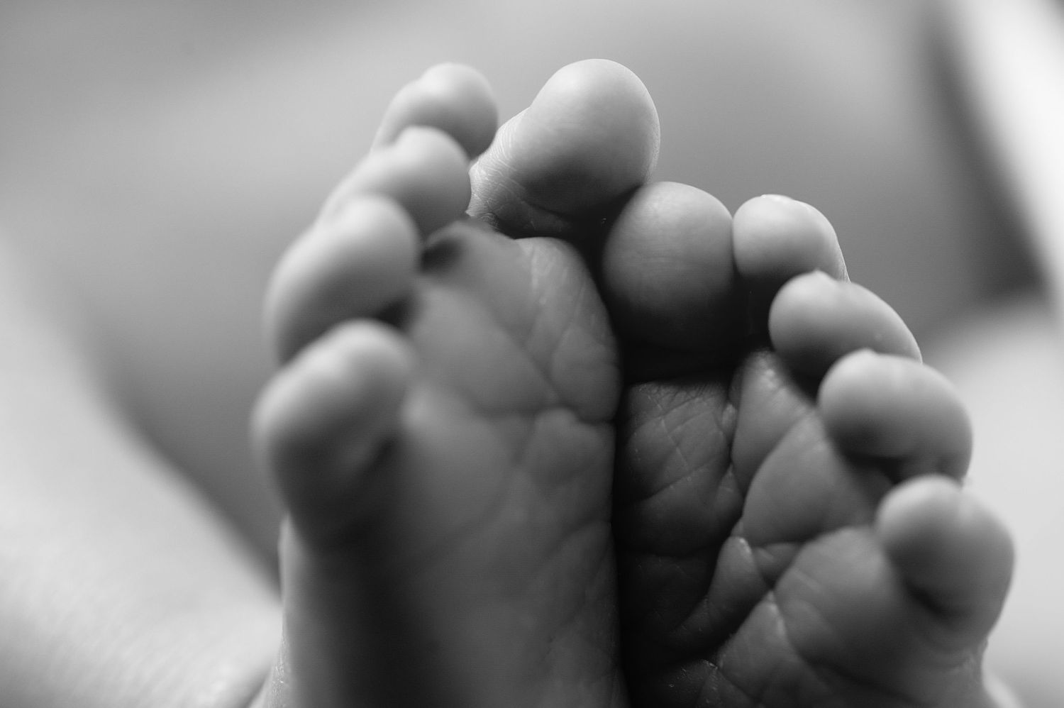 Close-up black and white photograph of tiny newborn baby feet.
