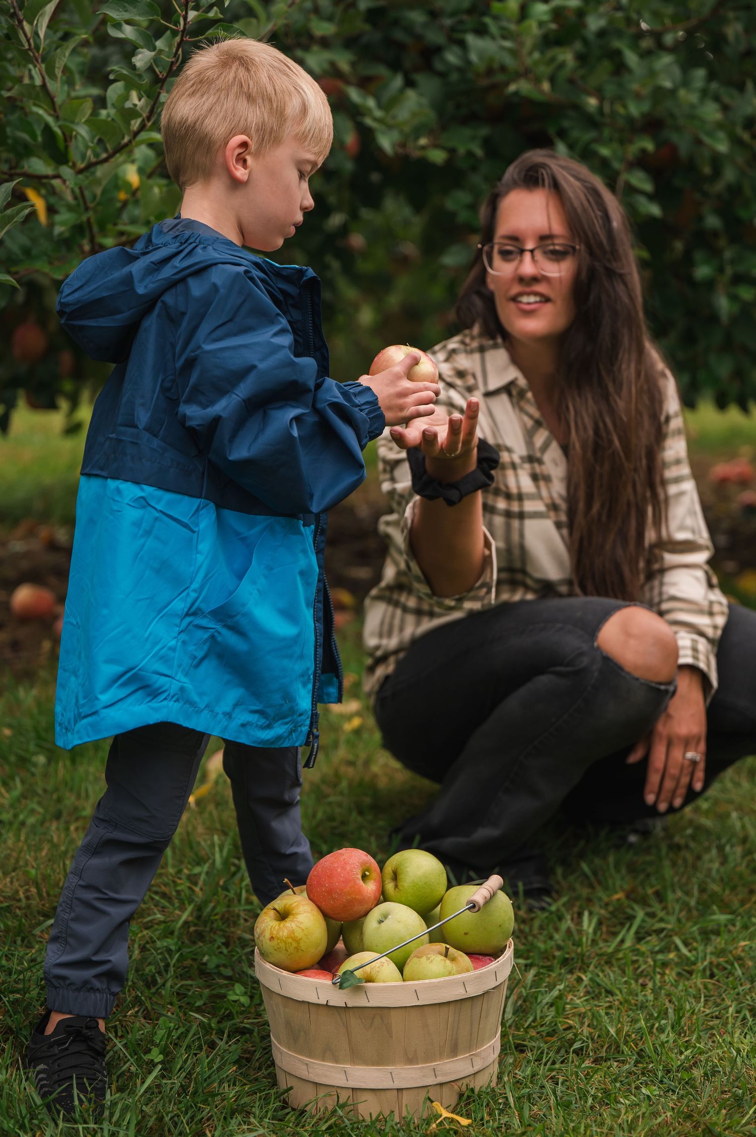 Two people picking fresh apples in an orchard with a wooden basket full of colorful harvested fruit on the grass.