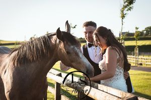 Couple stands at wooden fence in sunlit field petting a brown horse during sunset.