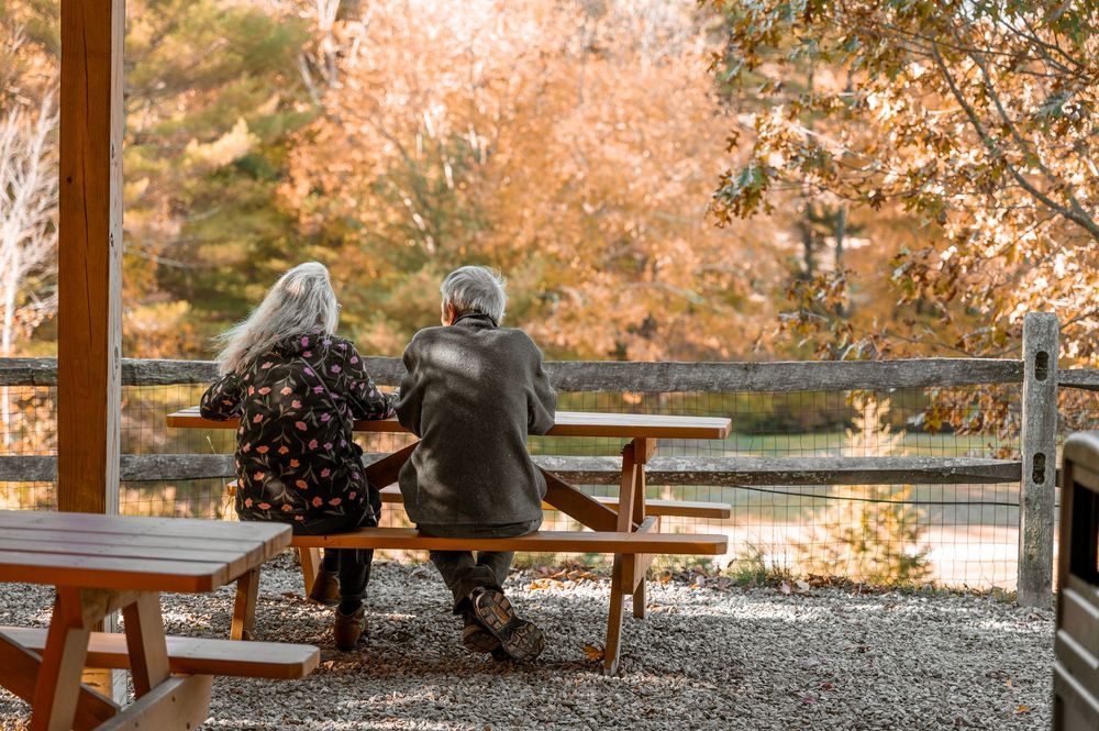 Two squirrels sit next to each other on a picnic table in an autumn outdoor setting.