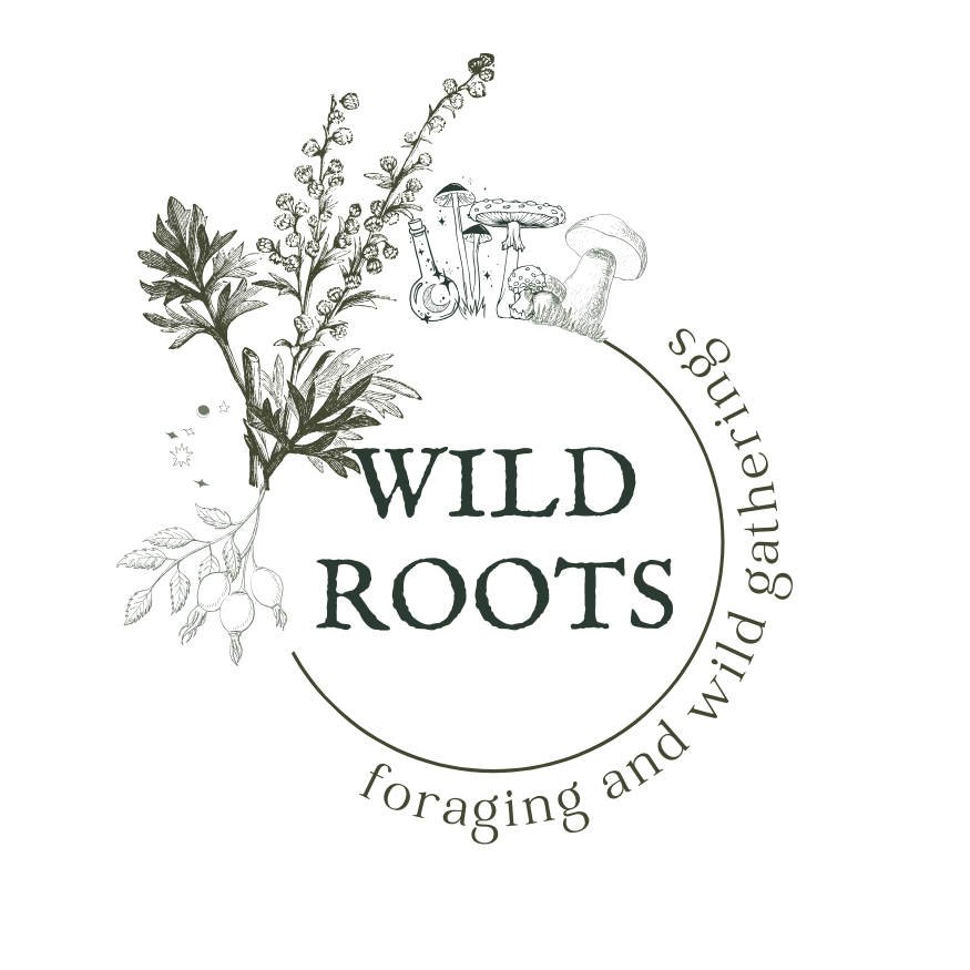 Rustic logo design with text 'Wild Roots' featuring botanical elements and foraging theme in circular layout.