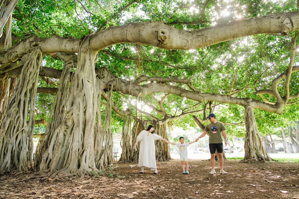 People stand beneath massive banyan tree branches with aerial roots in a tropical garden setting.