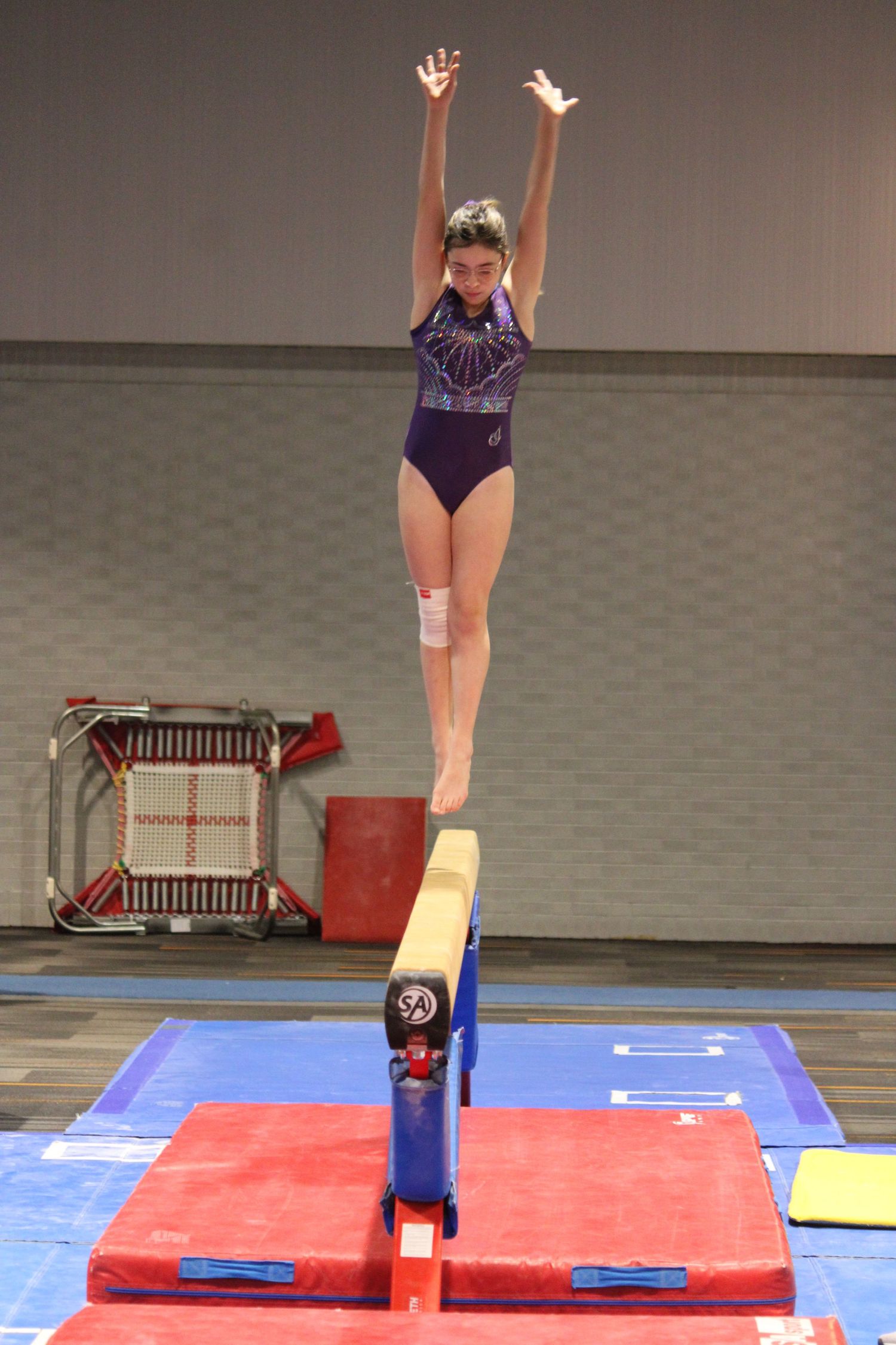 ALTA Gymnastics