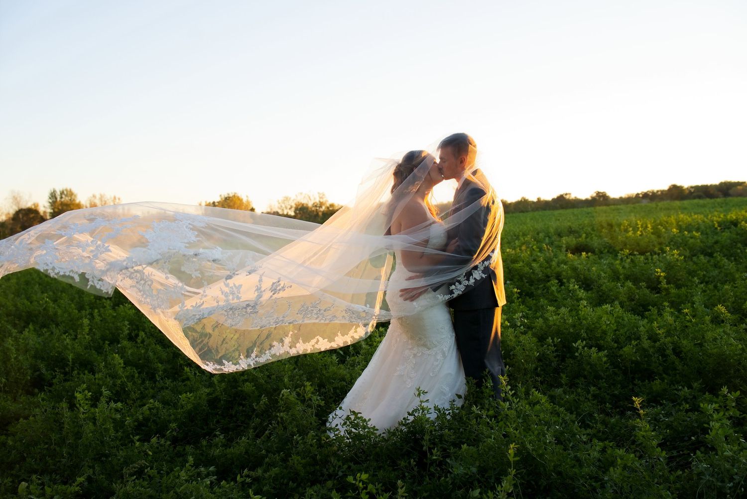 Bride and groom in a field at golden hour with a cathedral-length veil. The sun shines through the veil as they kiss.