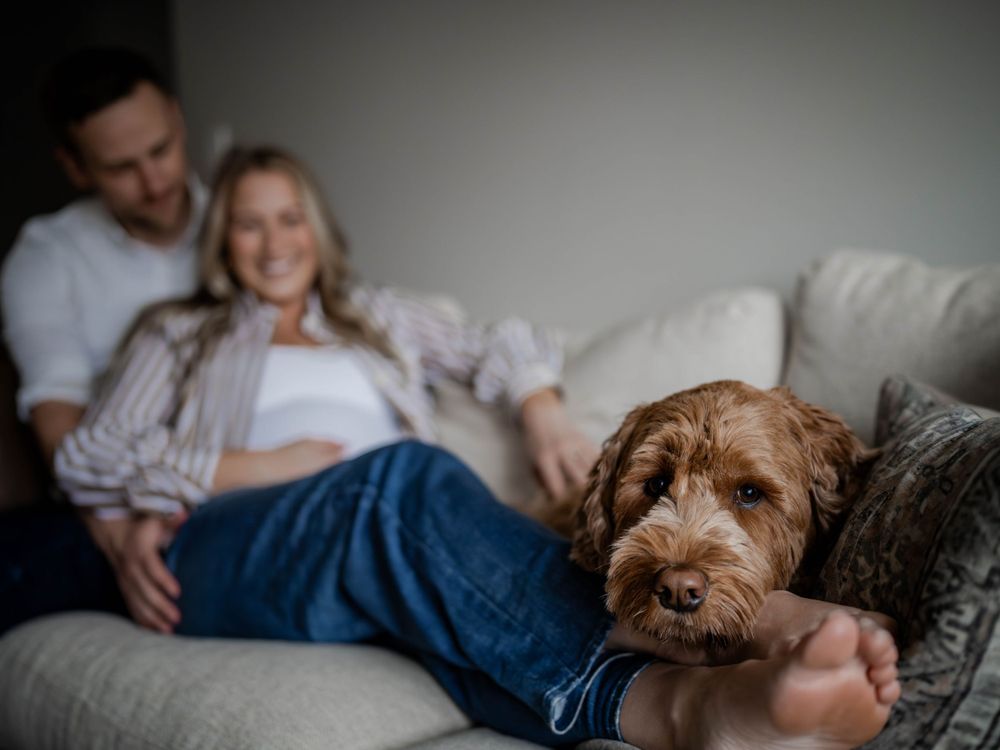 Pregnant couple relaxing on couch with brown doodle dog.