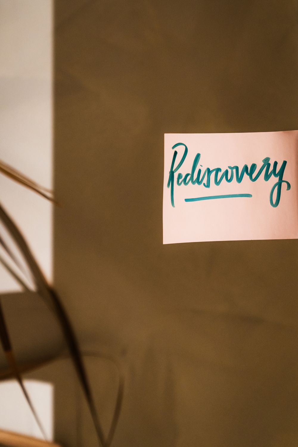 Handwritten 'Rediscovery' text on white paper with plant shadow in background.