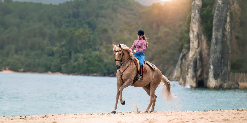 Palomino horse cantering on a sandy beach with female rider at sunset, equine photography by Karen Chaplin