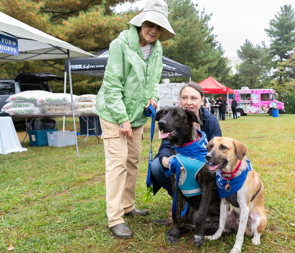 outdoor festival with family pets