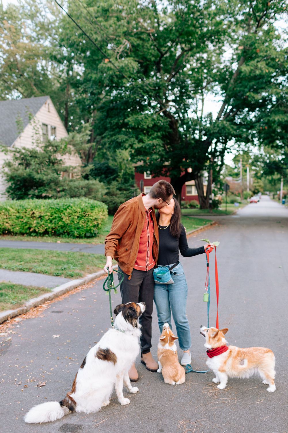 Three dogs being walked on leashes in a residential neighborhood.