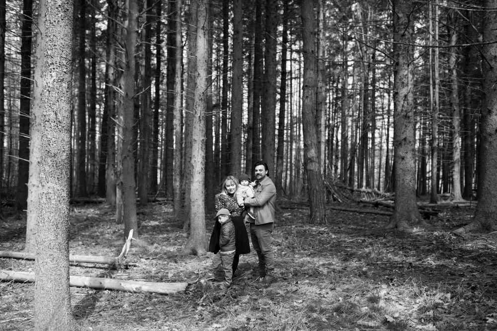 Two figures embrace among tall evergreen trees in a misty forest.