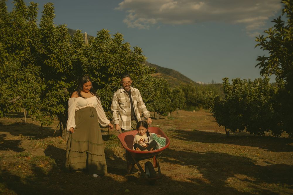 A family enjoys a fall day in an orchard with a child in a wagon as golden sunlight illuminates the hillside scenery