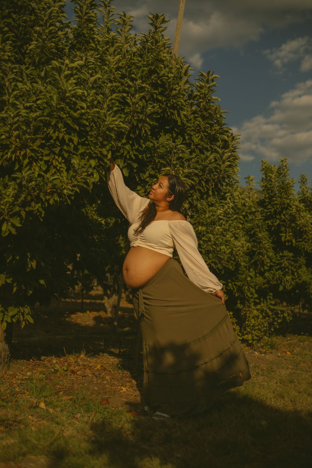 Apple picking themed maternity photography at Los Rios Rancho in California