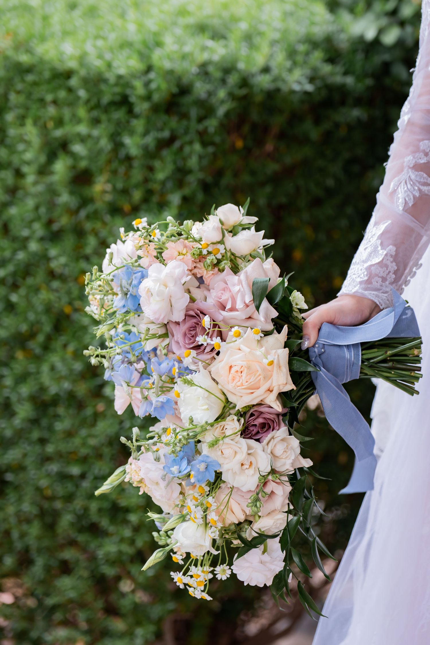 Bride holding cascading wedding bouquet with pink, blue, and cream roses tied with gray ribbon against green hedge.