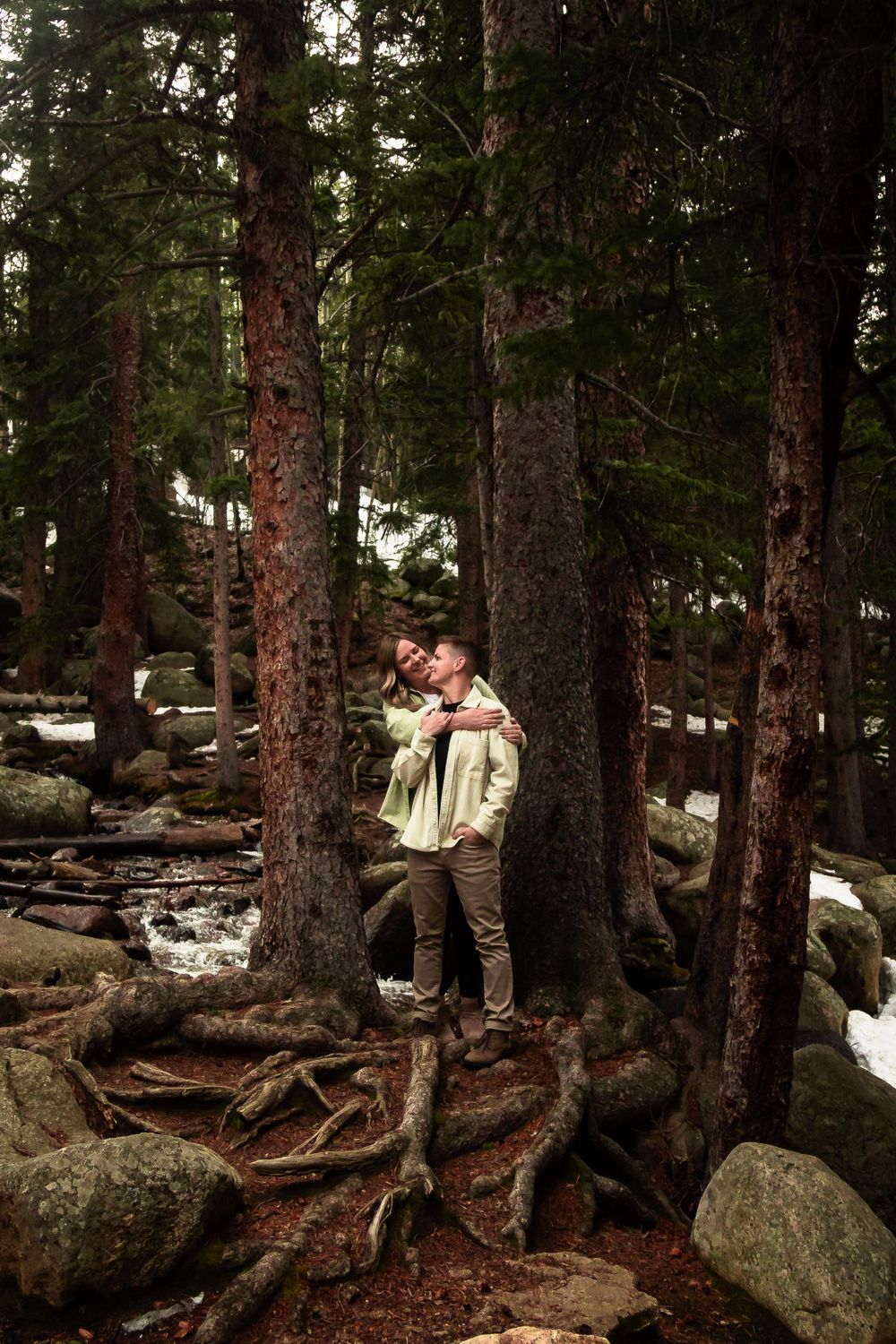Couple embracing among tall pine trees with exposed roots in a forest setting engagement photography in Idaho Springs, Colorado.